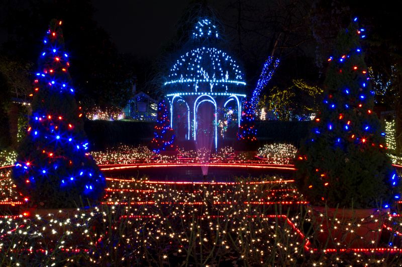 Holiday BBQ Celebration